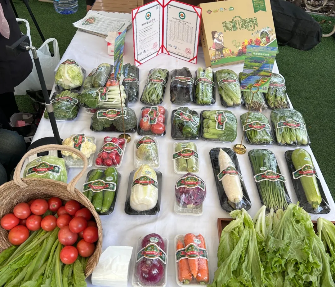 1764121199133066.png 388024b4c5bfa0268af0e923d6dfe2e7.png