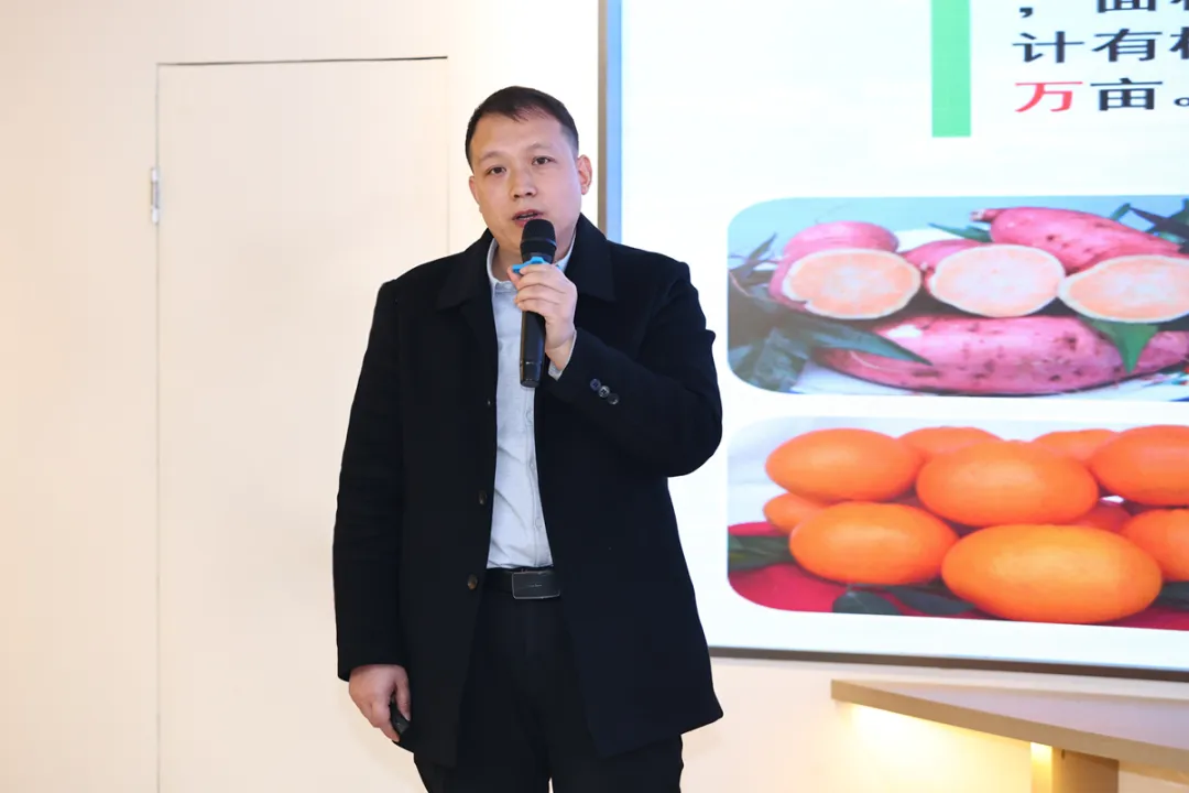 1765518701475119.png dc68b88d-c563-4ce0-b33e-3c43abef1d3d.png